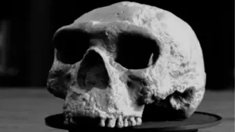 800,000-Year-Old Human Mystery? MP Cave Discovery Could Rewrite India's Evolution History