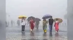 बिहार में फिर सक्रिय होगा मानसून, 26 से 28 जुलाई तक कई जिलों में येलो अलर्ट, तेज बारिश और वज्रपात की चेतावनी