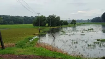 തോട്ടറ പുഞ്ചയ്ക്ക് വേണം സമഗ്ര വികസന പദ്ധതി