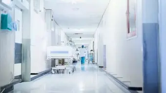 Lizard in food: More than 100 children fall sick at Gadag govt school