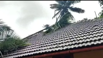 വീടിന് മുകളിലേക്ക് കാട്ടാന തെങ്ങ് മറിച്ചിട്ടു;  കുടുംബം അത്ഭുതകരമായി രക്ഷപ്പെട്ടു
