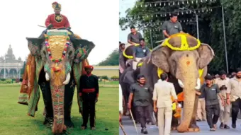ಮೈಸೂರು ದಸರಾ 2026: ಈ ಬಾರಿ 'ನಿಶಾನೆ ಆನೆ'ಯಾಗಿ ಗಜಪಡೆ ಮುನ್ನಡೆಸಲಿದ್ದಾನೆ ಅಭಿಮನ್ಯು