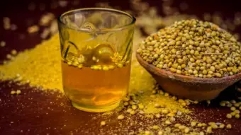 Coriander Water Benefits: ધાણાનું પાણી શરીરને કેવી રીતે કરે છે ડિટોક્સ? જાણો પાચન, એસિડિટી અને બ્લડ શુગર પર તેની અસર