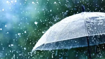 Isolated rain to continue in Kerala; yellow alert issued in eight districts