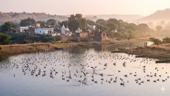 झीलें, हजारों परिंदे और खूबसूरत नजारे, उदयपुर के मेनार गांव की खासियत