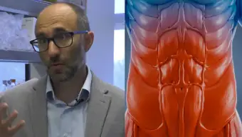 Top US Professor Explains How Your Core May Play a Role in Brain Blood Flow