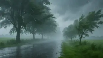 இன்று எங்கெல்லாம் மழை வெளுத்து வாங்கும்? 31 மாவட்டங்களுக்கு வானிலை மையம் வார்னிங்!