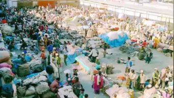 International Lavi Fair 2026: रामपुर बुशहर में 11 नवंबर से सजेगा अंतरराष्ट्रीय लवी मेला, चामुर्थी घोड़ों की दौड़ और हेरिटेज वॉक बढ़ाएंगे आकर्षण