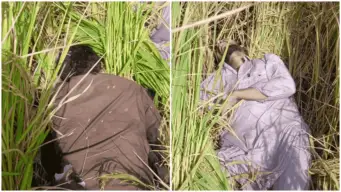 पंजाब बॉर्डर पर 2 पाकिस्तानी घुसपैठिए ढेर