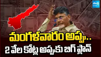 Chandrababu Naidu:బాబు సర్కారు మరో 2,500 కోట్లు అప్పు! ఆర్థిక బుడగ విరగదా?