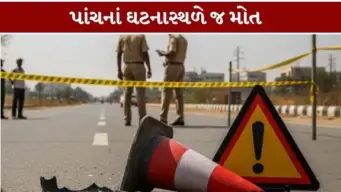 કોકપિટ કાંડમાં નવા સવાલો: સ્મિત મચ્છર પર હુમલા પાછળ શું રહસ્ય?