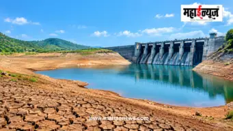 महाराष्ट्रात जलसाठ्यात २० टक्क्यांची घट; छत्रपती संभाजीनगर विभागात सर्वांत कमी पाणीसाठा