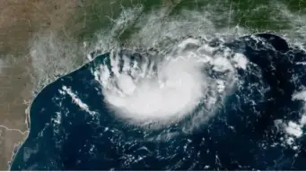 Cyclone Arnab Update: How Will Andhra Pradesh, Odisha and Tamil Nadu Be Affected?