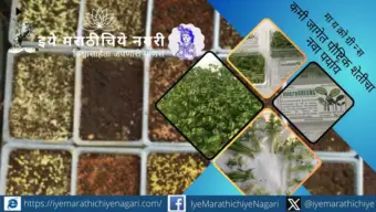 मायक्रोग्रीन्स : कमी जागेत पौष्टिक शेतीचा नवा पर्याय; घरगुती लागवडीपासून व्यावसायिक उत्पादनापर्यंत!
