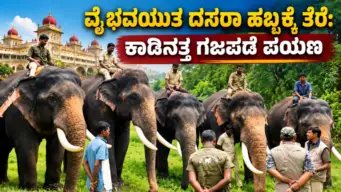 ವೈಭವಯುತ ದಸರಾ ಹಬ್ಬಕ್ಕೆ ತೆರೆ: ಕಾಡಿನತ್ತ ಗಜಪಡೆ ಪಯಣ