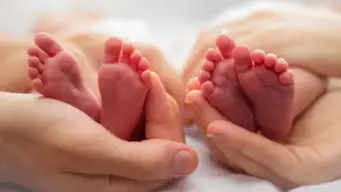 एक पिता के 58 बच्चे, अब जता रहे पछतावा! आचार्य प्रशांत बोले-जानवर और मच्छर भी बच्चे पैदा करते हैं, लेकिन.