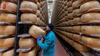 Iran war fallout reaches Italian kitchens: Why mozzarella is suddenly in short supply | Explained