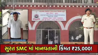 વાહ રે સાહેબ વાહ! કર્મચારીની ગર્ભવતી પત્નીની દયા ન આવી પણ 25 હજારમાં 'માનવતા' વેચી ખાધી, હવે ACB કરાવશે 'ફ્રી' માં આરામ