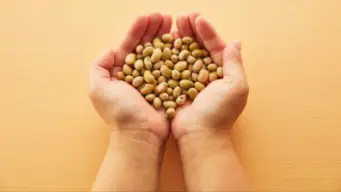 Why Eat Soybean