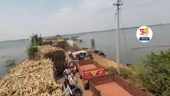 ब्रिटिशकालीन पुलावर बंदी झुगारून ऊसाच्या ट्रॉलींची वाहतूक; डिकसळ पुलावर नेमकं चाललंय काय?