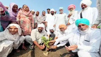 Welfare Work: ਸੱਚਖੰਡ ਵਾਸੀ ਅਮਰਜੀਤ ਕੌਰ ਇੰਸਾਂ ਦੀ ਯਾਦ 'ਚ ਲਾਇਆ ਬੂਟਾ