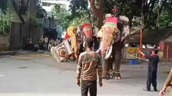 ಶಿವಮೊಗ್ಗ ಜಂಬೂಸವಾರಿ ಆನೆ ಅವಘಡ : ದಸರಾ ಆನೆಗಳಿಗೆ ಫಿಟ್ನೆಸ್​ ಸರ್ಟಿಫಿಕೇಟ್​ ಕಡ್ಡಾಯ