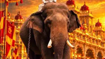 ಮೈಸೂರು ದಸರಾ 2026: ಚಿನ್ನದ ಅಂಬಾರಿ ಹೊರಲಿದ್ದಾನೆ ಪ್ರಶಾಂತ್ ಆನೆ