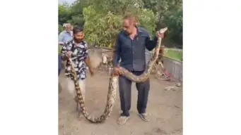 ધારી તાલુકાના ગીગાસણ ગામે કૂવામાંથી મહાકાય અજગરનું રેસ્ક્યૂ!