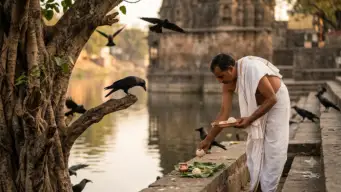 श्राद्ध पक्षात कावळ्यालाच का दिले जाते अन्न? अध्यात्म आणि विज्ञानामागील ही रंजक गोष्ट तुम्हाला माहिती आहे का?