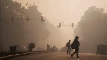 Delhi tightens pollution checks ahead of winter, over 10,000 challans issued daily