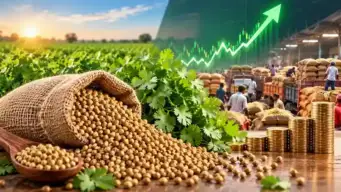 Coriander Festive Price Rally  ધાણામાં તહેવારોની તેજીથી રોકાણકારોને મોટો લાભ વાયદા અને હાજર બજારમાં ભાવ ઉછળ્યા, એક મહિનામાં ૨૦ ટકા સુધી ઊંચું વળતર