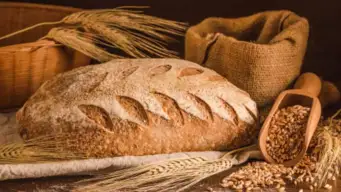 Understanding Yeast: Biological Mechanisms, Nutritional Value, and the Science of Home Fermentation