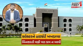Vadodara Collector : "ન્યાયાધીશ યોગ્ય દ્રષ્ટિકોણથી કેસ નથી જોતા" એફિડેવિટમાં જજ સામે ટિપ્પણી કરવી કલેક્ટરને ભારે પડી