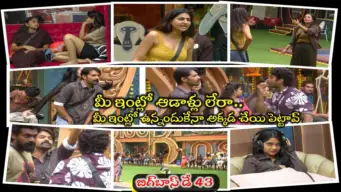 Bigg Boss 10 Telugu Day 43: రోహిత్!! ఉరేసుకుని చచ్చిపో.. ఆడపిల్లని అక్కడ టచ్ చేశావ్.. నీదీ ఓ బతుకేనా? నామినేషన్‌లో గుణంలేని త్రిగుణ్