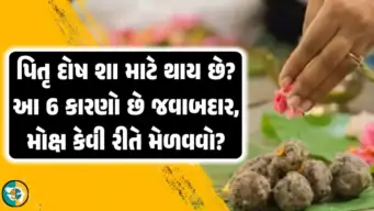 શું તમે જાણો છો પિતૃ દોષ શા માટે થાય છે? આ 6   કારણો જવાબદાર, બાળકોને પણ ભોગવવું પડશે તેનું ફળ.!
