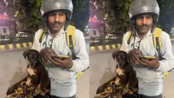 So Wholesome! Mumbai Blinkit Delivery Partner Wins Hearts After Rescuing Injured Puppy; Dog Now Joins Him On Delivery Runs - VIDEO