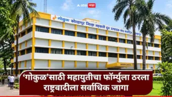 Gokul Election : 'गोकुळ'साठी महायुतीचा फॉर्म्युला ठरला, राष्ट्रवादी सर्वाधिक जागा लढणार, भाजप-शिवसेना समसमान जागा