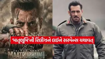 Salman Khanની 'માતૃભૂમિ' પર સંકટ! બીજી સ્ક્રીનિંગ પછી પણ ક્લિયરન્સની રાહ, રિલીઝ પર સસ્પેન્સ