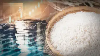 Rice prices rise by 10%; exports may decline by 2027!