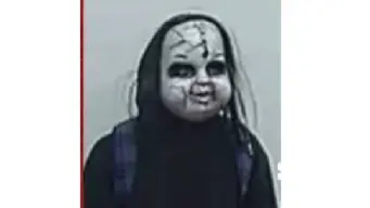 Chucky-masked man terrorises pedestrians in US, police launches search operation