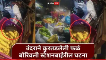 Mumbai : धक्कादायक! उंदराने कुरतडलेली फळं ग्राहकांना विकली, बोरिवली स्टेशन बाहेरील फळविक्रेत्याचा व्हिडीओ व्हायरल
