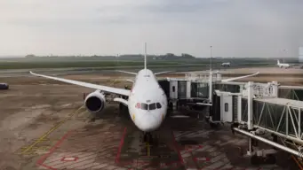 Kolkata-Japan Flight। কলকাতা থেকে জাপানের সরাসরি উড়ান?