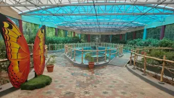 வண்டலூரில் புதுப்பிக்கப்பட்ட வண்ணத்துப்பூச்சிப் பூங்கா திறப்பு - சிறப்பு அம்சங்கள்