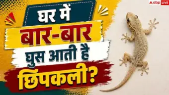 Home Remedies For Lizards: घर में बार-बार आती है छिपकली? बिना मारे भगाने के आसान हैक्स