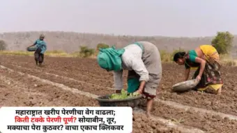 Maharashtra kharif Sowing: महाराष्ट्रात खरीप पेरणीचा वेग वाढला; किती टक्के पेरणी पूर्ण? सोयाबीन, तूर, मक्याचा पेरा कुठवर? वाचा एकाच क्लिकवर