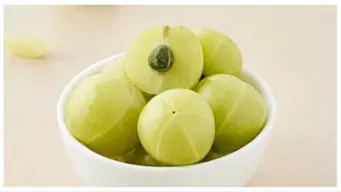 Amla Plant Care: আমলকি গাছে ফল আসছে না? এই 'গোল্ডেন রুল' মানলেই ফল ধরবে
