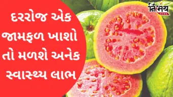 Health Tips: સફરજન કરતાં પણ વધુ ફાયદાકારક છે જામફળ! જાણો દરરોજ ખાવાના અદ્ભુત લાભો