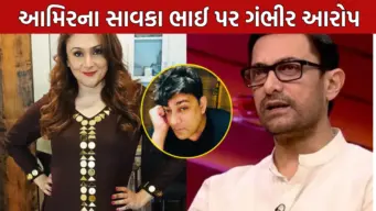 ઈવા ગ્રોવરનો ચોંકાવનારો ખુલાસો: આમિર ખાનના સાવકા ભાઈ પર ઘરેલું હિંસાના ગંભીર આરોપ