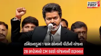 Tamil Nadu Gold Ring Scheme:  તમિલનાડુમાં નવજાતોને મળશે સોનાની વીંટીઓ, સીએમ વિજય યોજનાની શરૂઆત કરાવશે