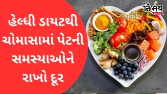 Health Tips: ચોમાસામાં પેટની સમસ્યાથી બચવું છે? આ હેલ્ધી ખોરાકને બનાવો આહારનો ભાગ